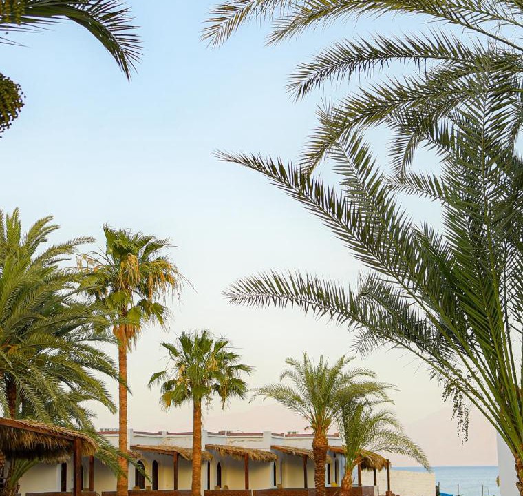 Photo of Others in Nuweiba