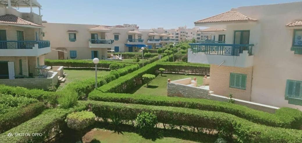 Photo of Buildings in Marina El Alamein