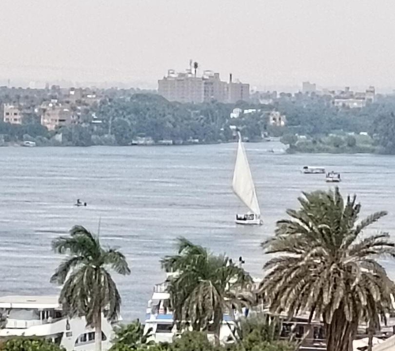 Photo of Others in Maadi