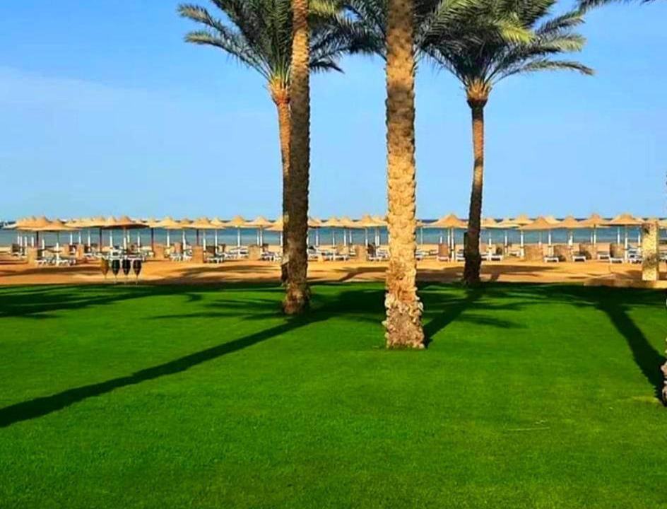 Photo of Others in Makadi Bay