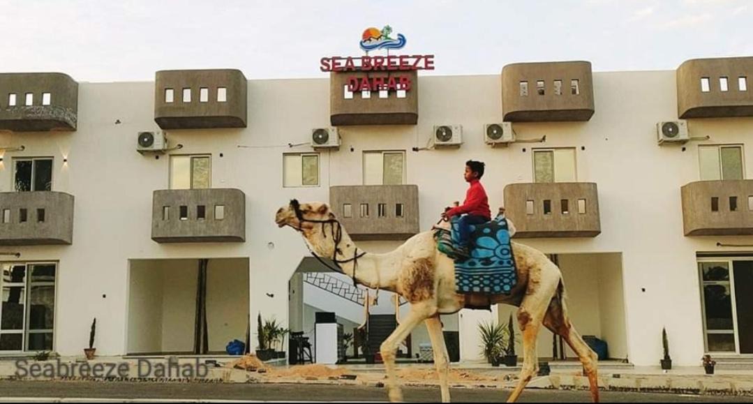 Photo of Others in Dahab