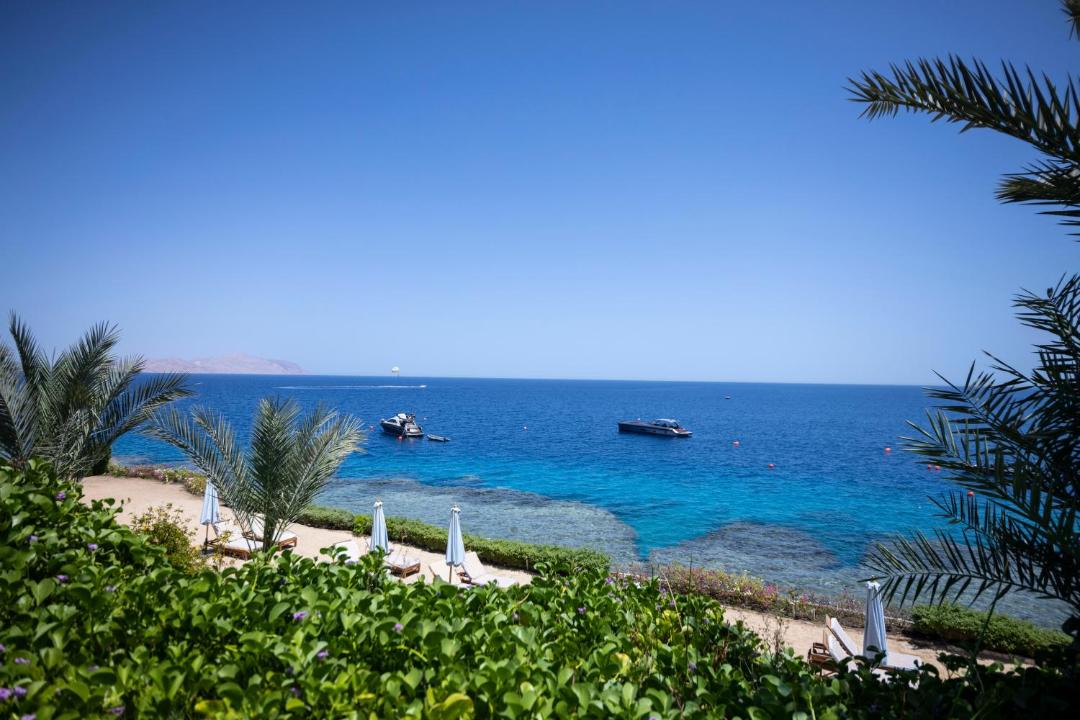 Photo of Others in Sharm El Sheikh