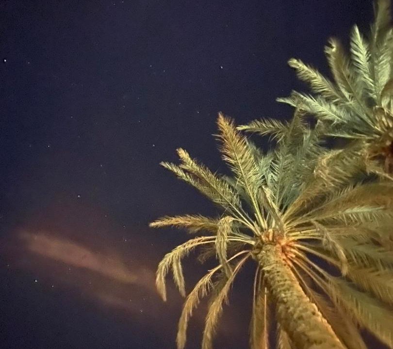 Photo of Outdoor in Siwa