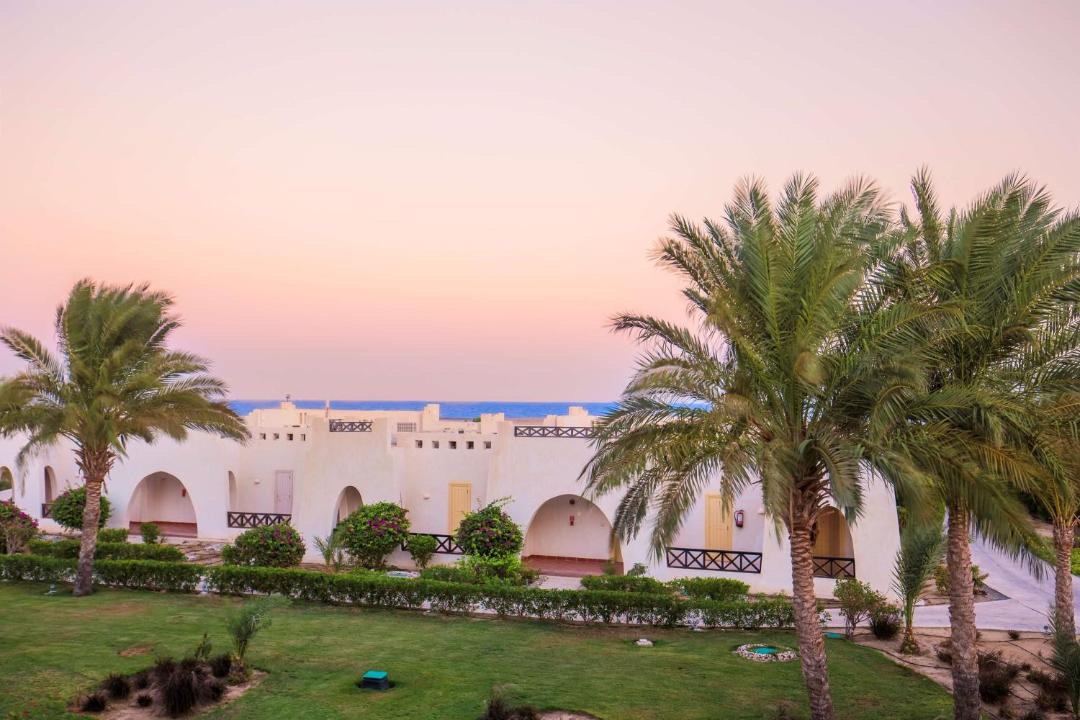 Photo of Others in Marsa Alam