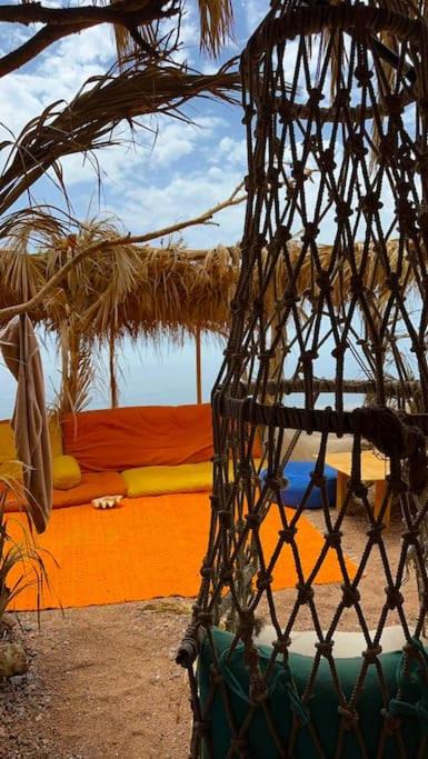 Photo of Others in Dahab