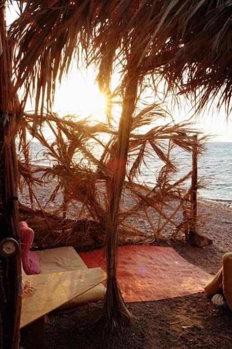 Photo of Others in Dahab