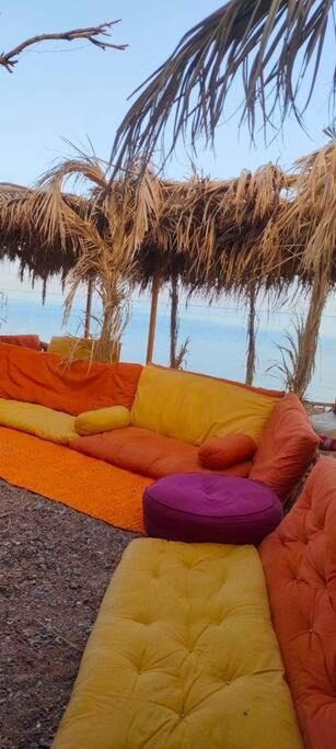 Photo of Others in Dahab