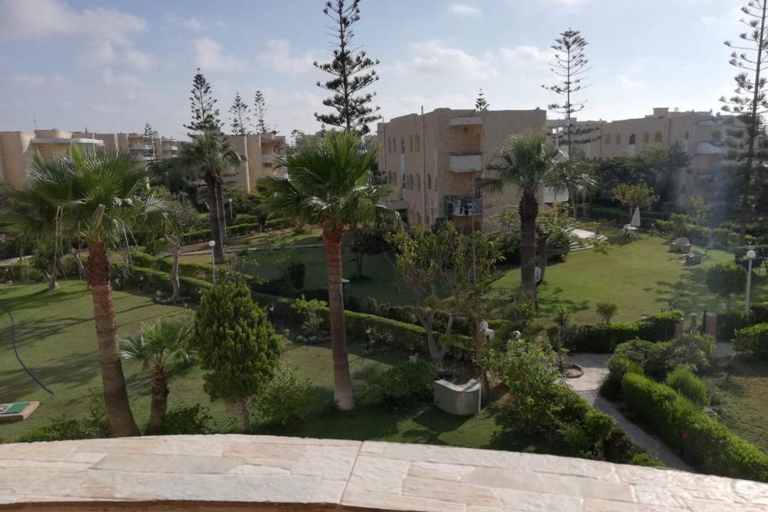 Photo of Others in Borg el Arab