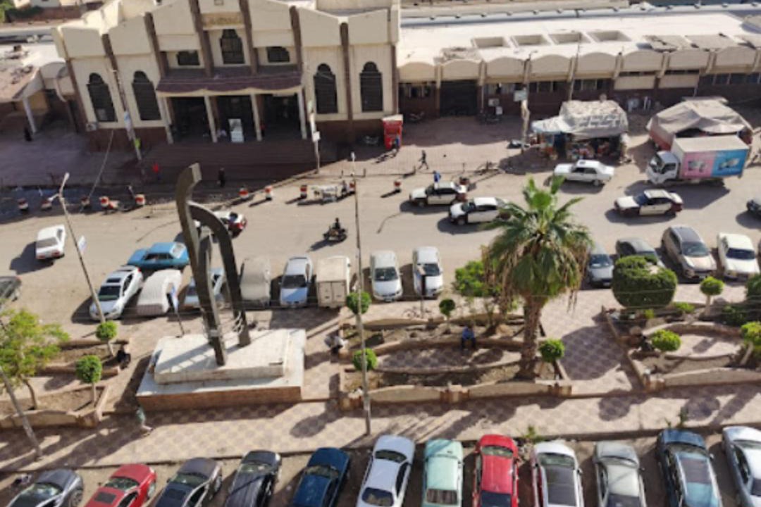 Photo of Others in Mansoura