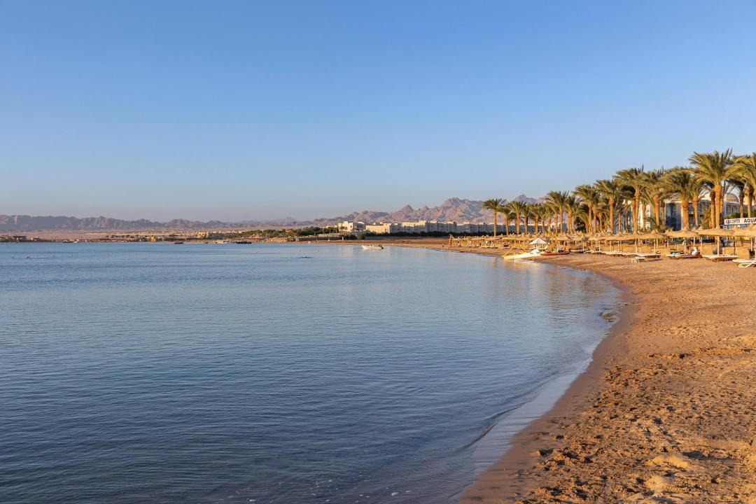 Photo of Others in Soma Bay