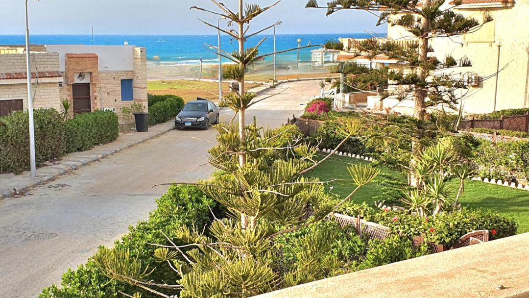Photo of Others in Marina El Alamein