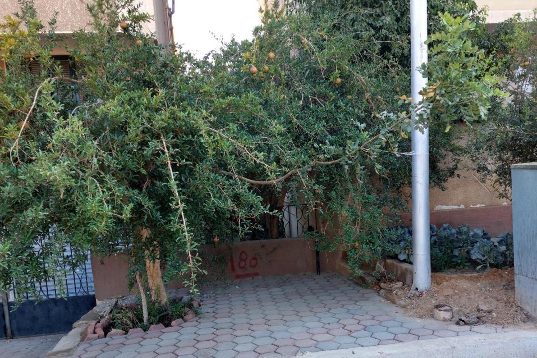 Photo of Others in Al-Khalifa