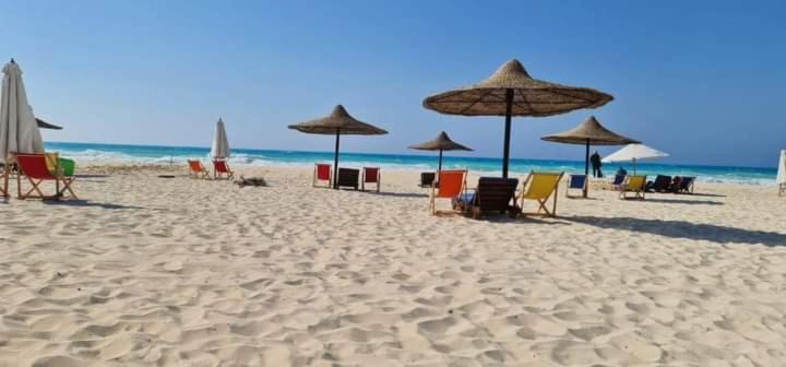Photo of Others in Borg el Arab