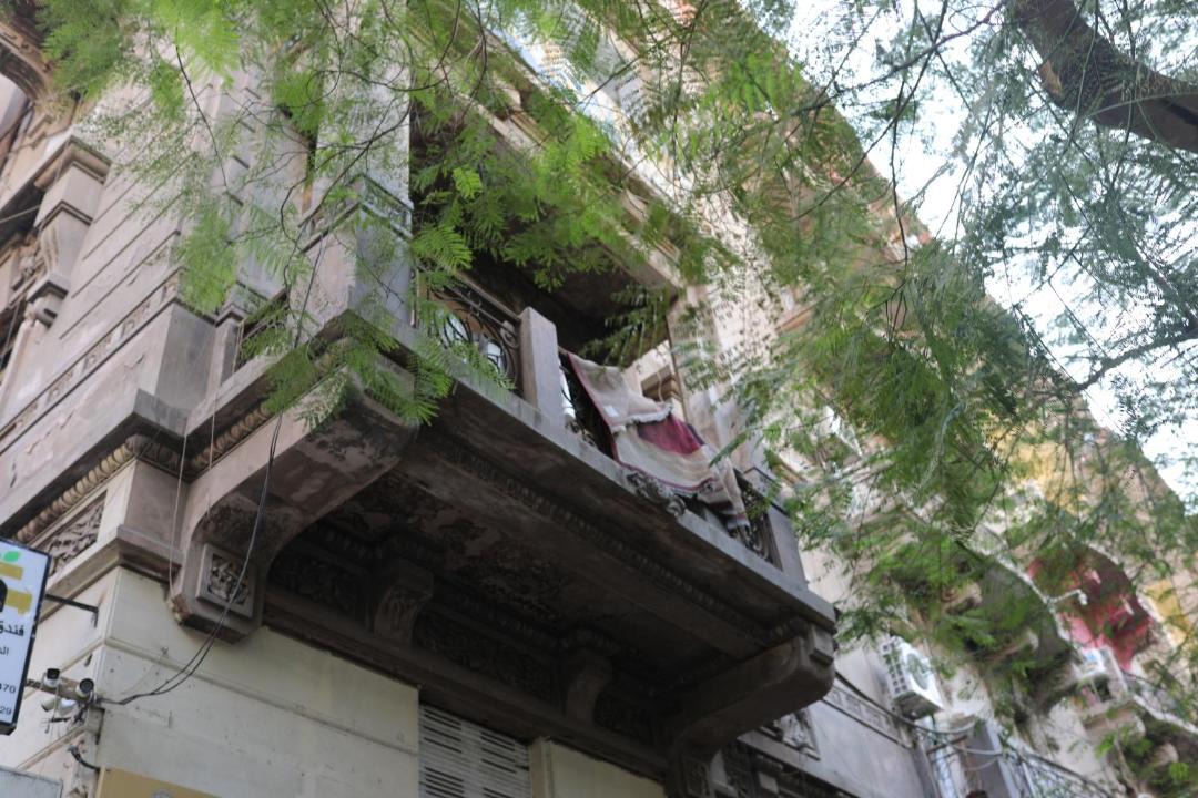Photo of Others in Abdin