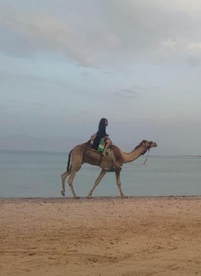 Photo of Outdoor in Nuweiba