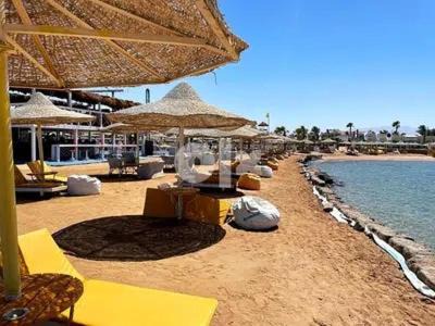 Photo of Others in Makadi Bay