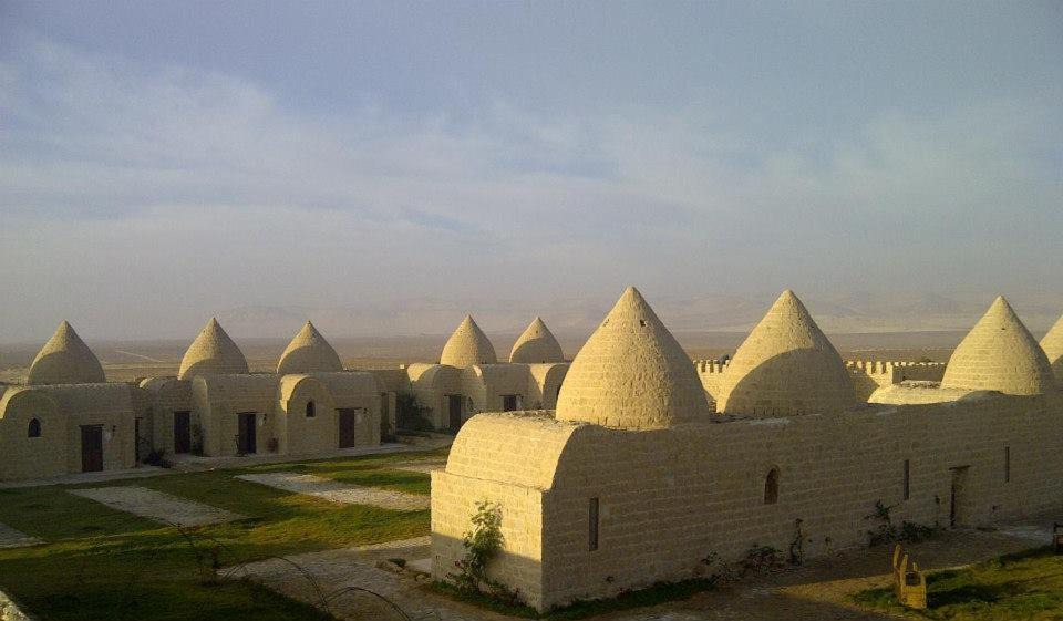 Photo of Buildings in Mallawi