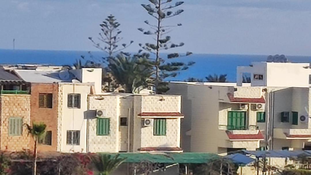 Photo of Others in Marina El Alamein