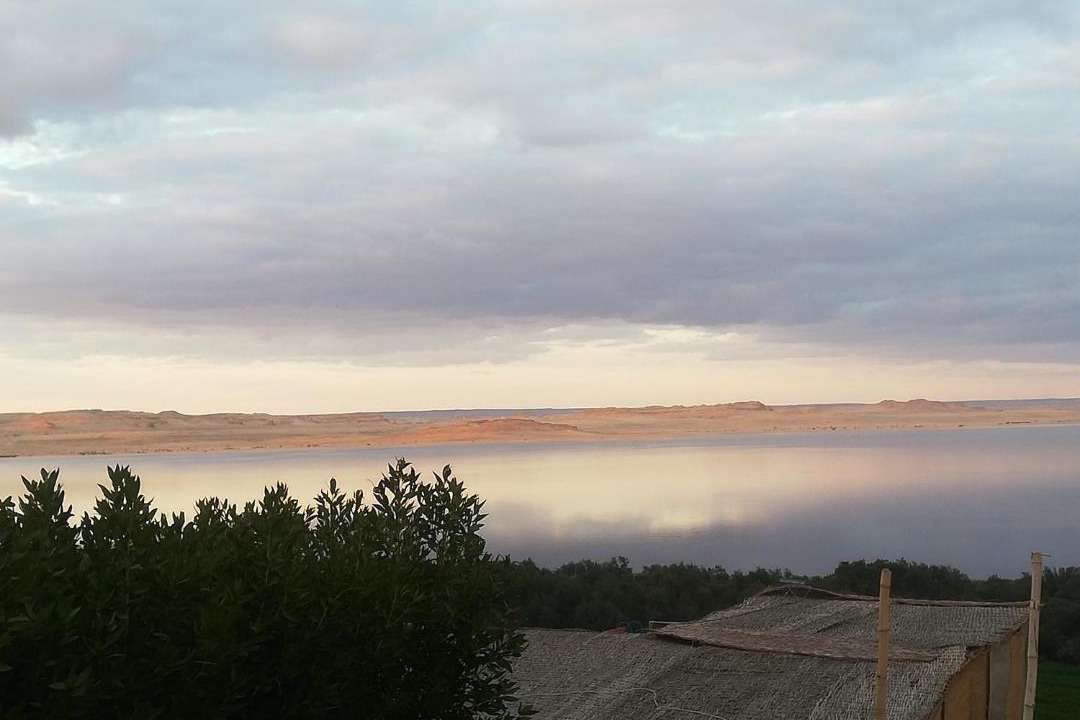 Photo of Others in Tunis Village