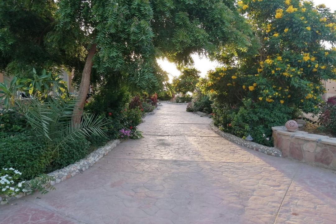 Photo of Others in El Quseir