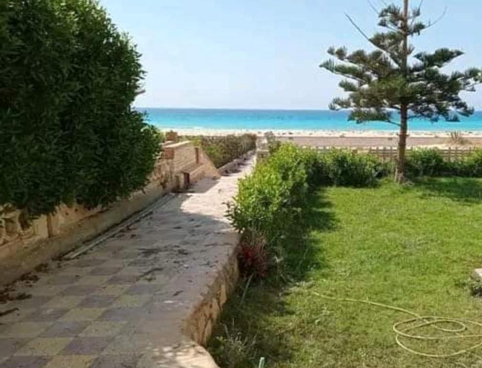 Photo of Others in Borg el Arab