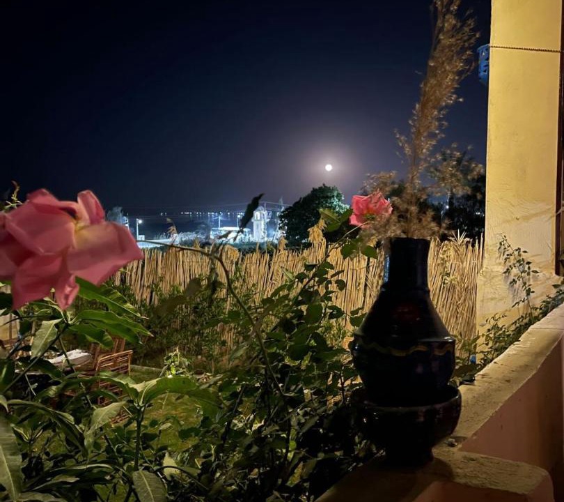 Photo of Others in Tunis Village