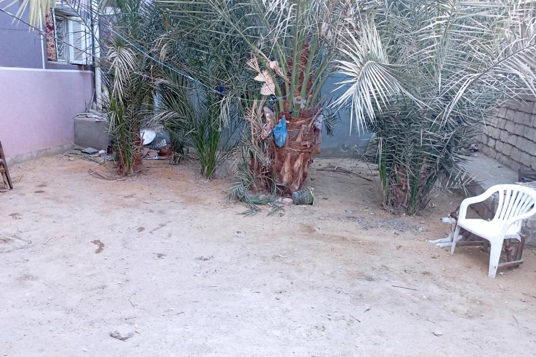 Photo of Others in Tamiyah