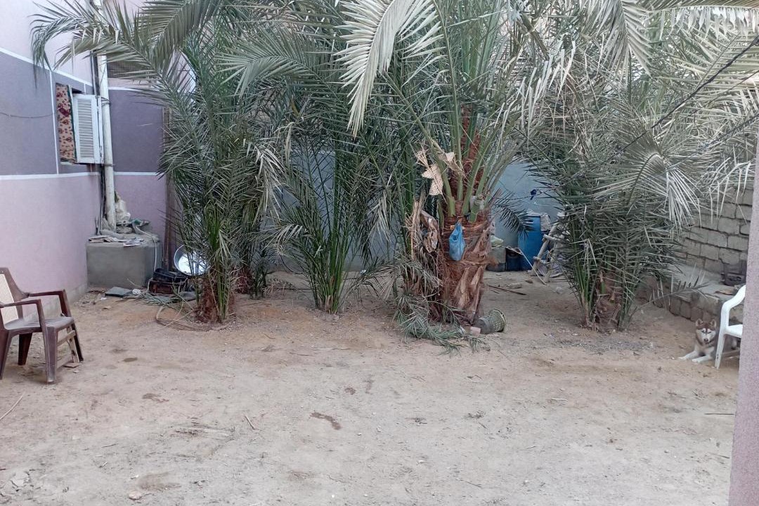 Photo of Others in Tamiyah