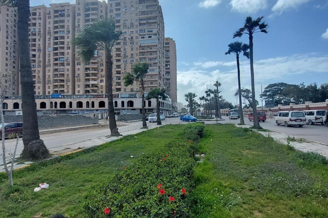 Photo of Others in Al-Muntazah