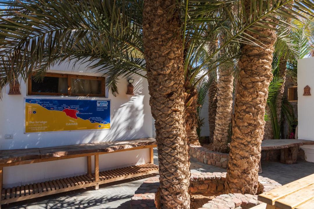 Photo of Others in Dahab