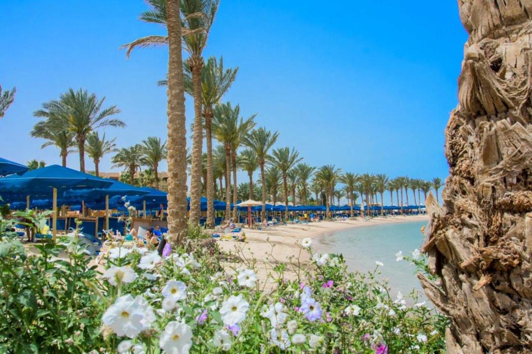 Photo of Others in Al Mamsha El Seyahi