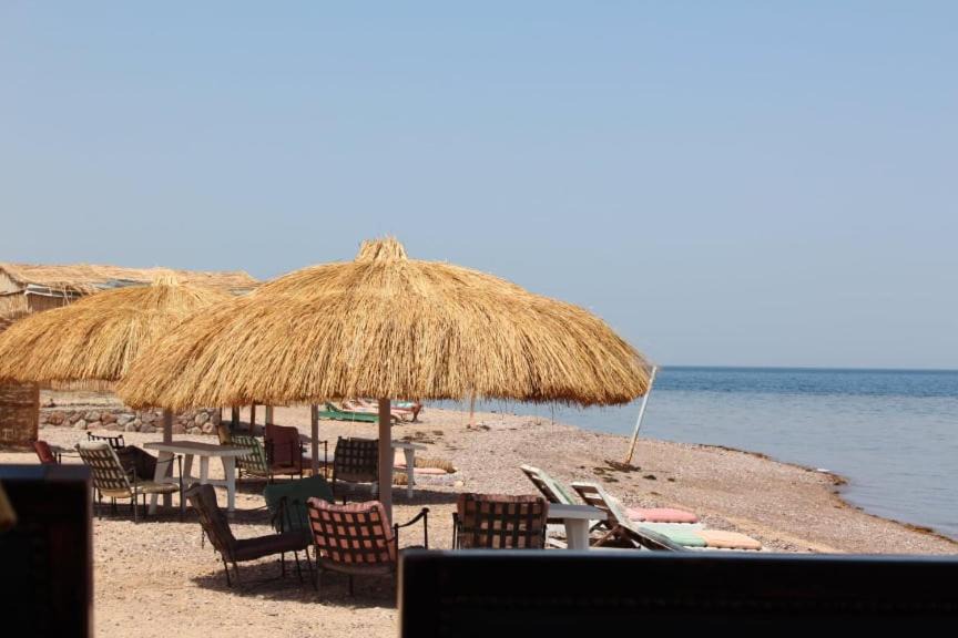 Photo of Others in Nuweiba