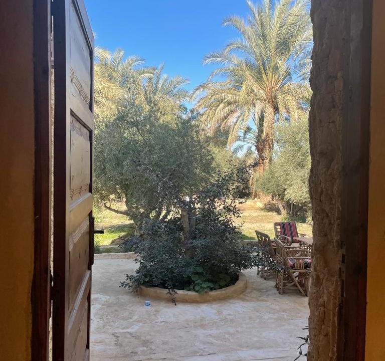 Photo of Others in Siwa