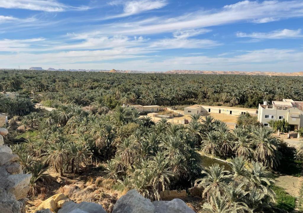 Photo of Others in Siwa