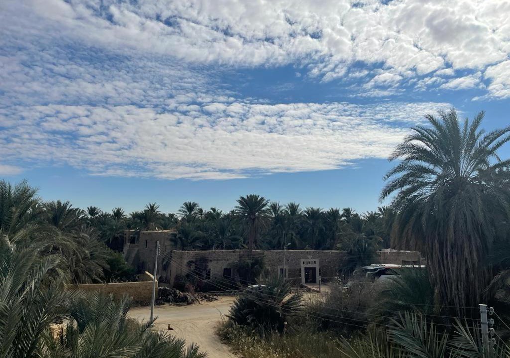 Photo of Others in Siwa