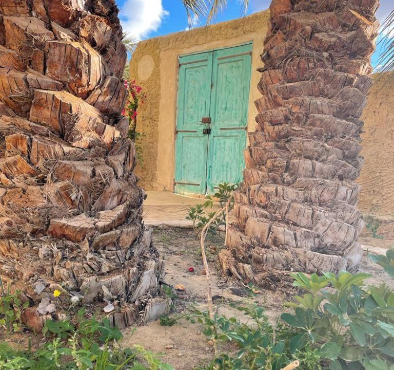 Photo of Others in Siwa