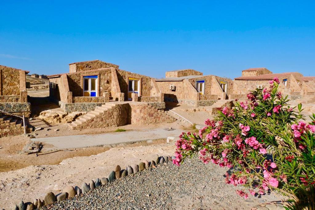 Photo of Others in Marsa Alam