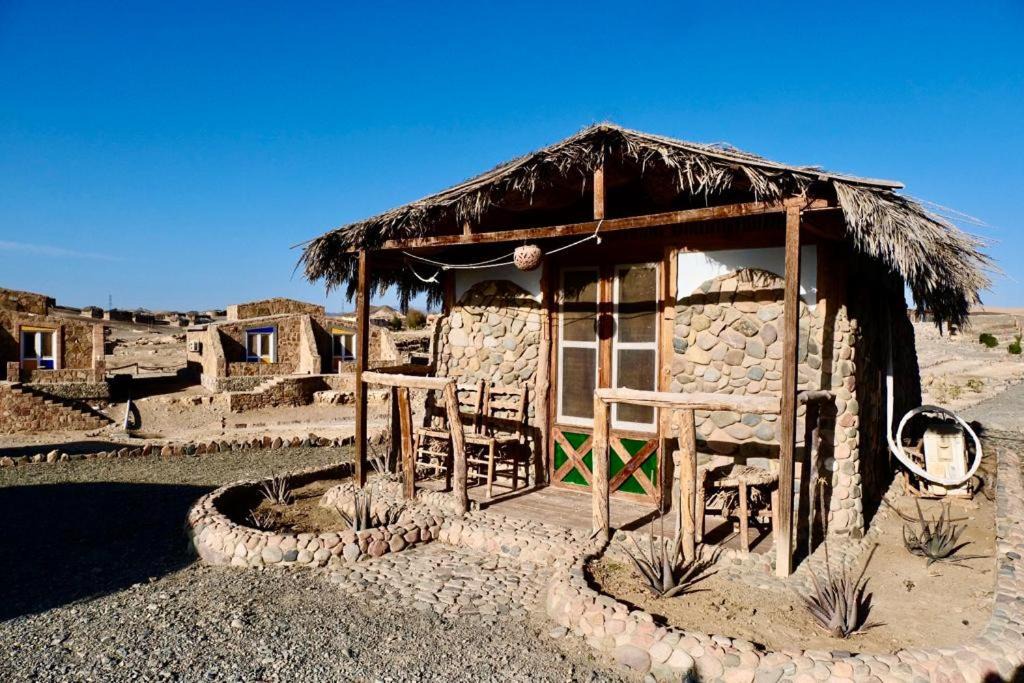 Photo of Others in Marsa Alam