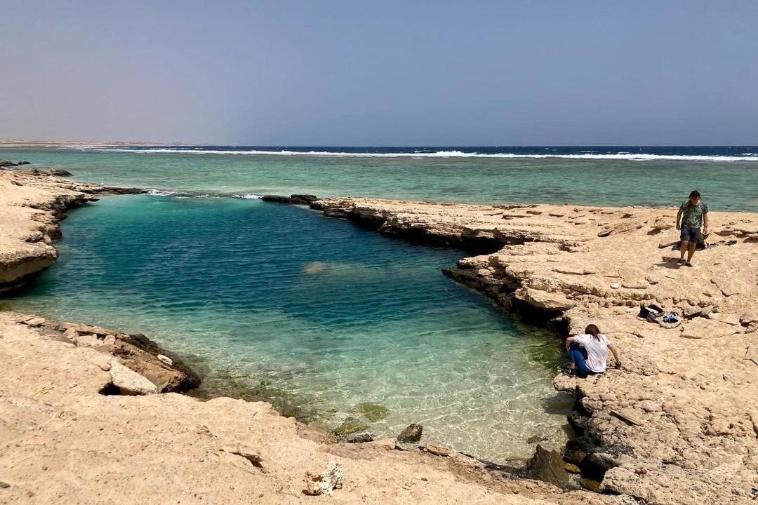 Photo of Others in Marsa Alam