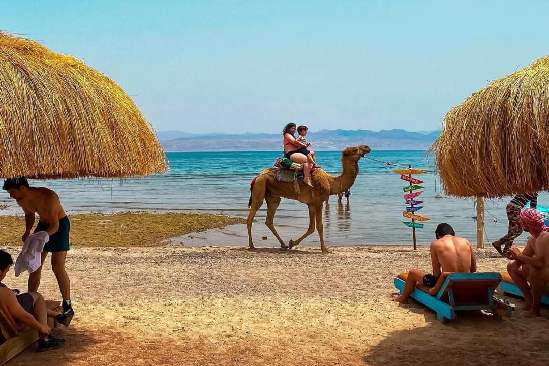 Photo of Others in Nuweiba