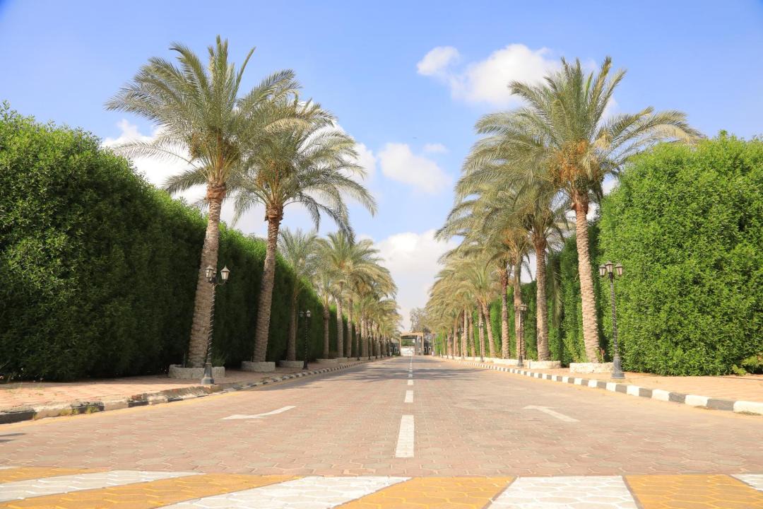 Photo of Others in 6th of October City