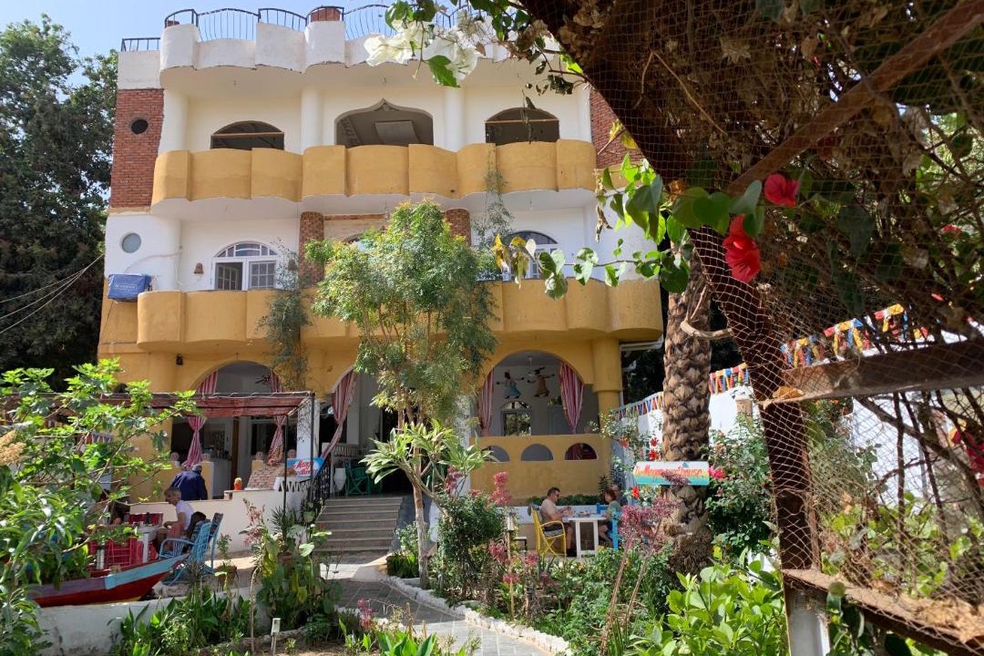 Photo of Others in Aswan