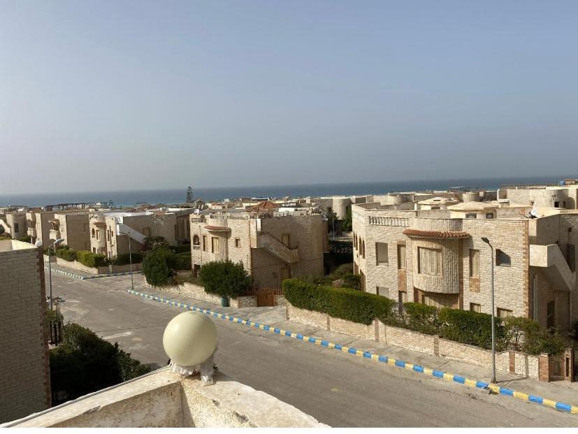 Photo of Others in Borg el Arab