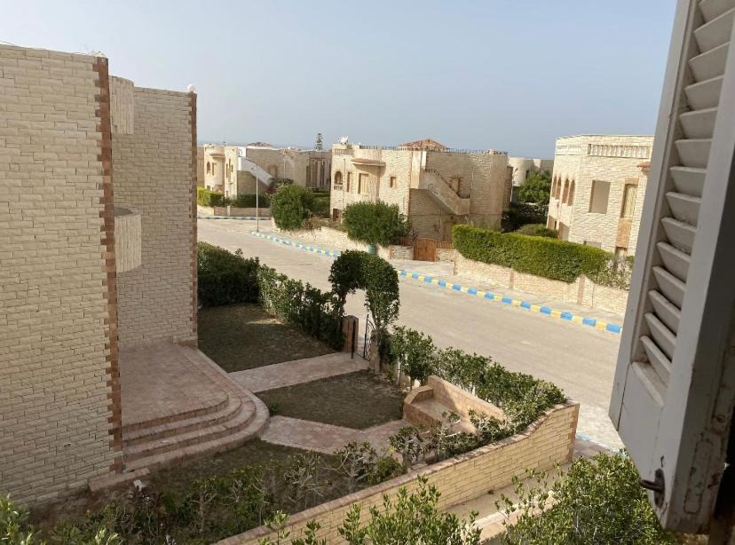 Photo of Others in Borg el Arab