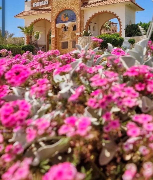 Photo of Others in Borg el Arab