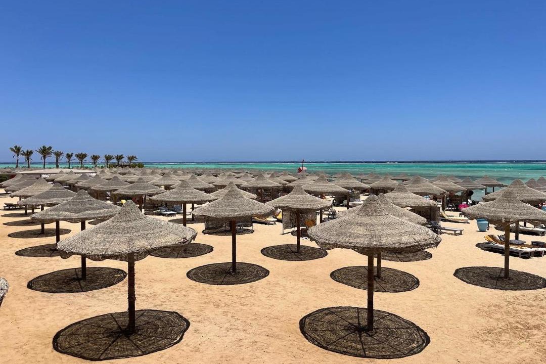 Photo of Others in Marsa Alam