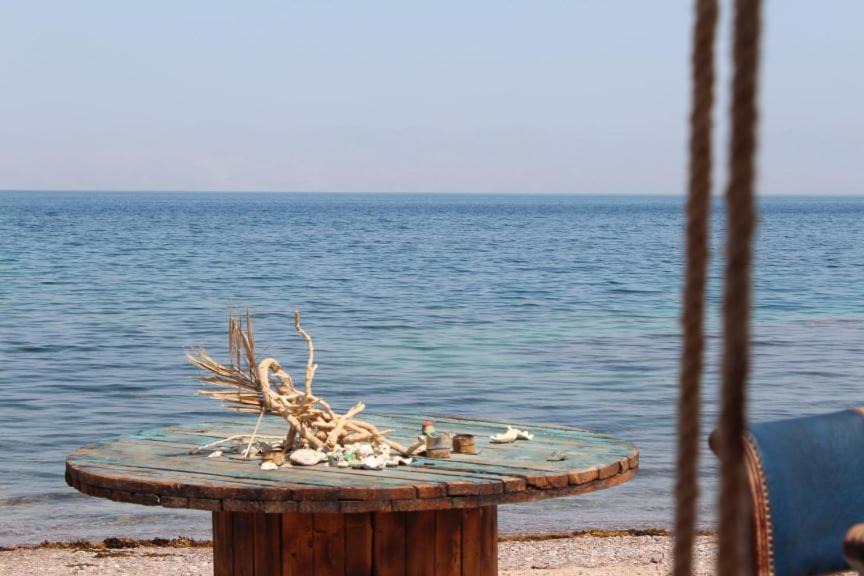 Photo of Others in Nuweiba