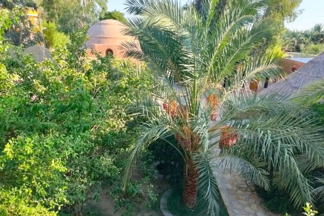 Photo of Others in Qasr al Farafirah