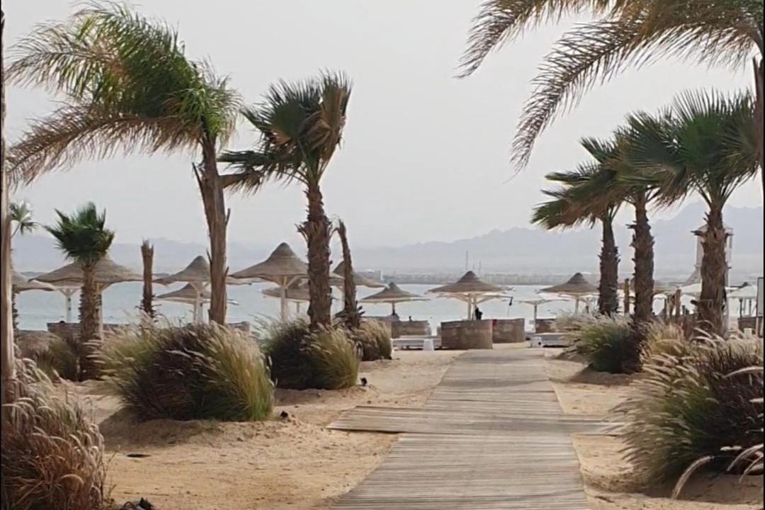 Photo of Others in Soma Bay