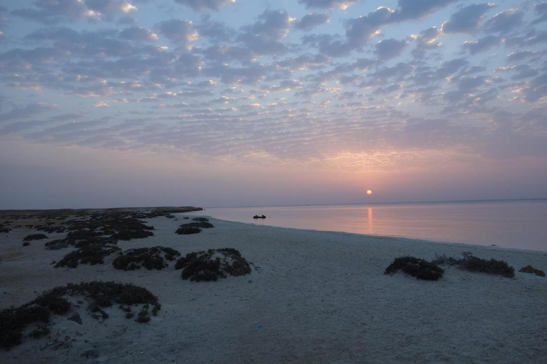 Photo of Others in Marsa Alam